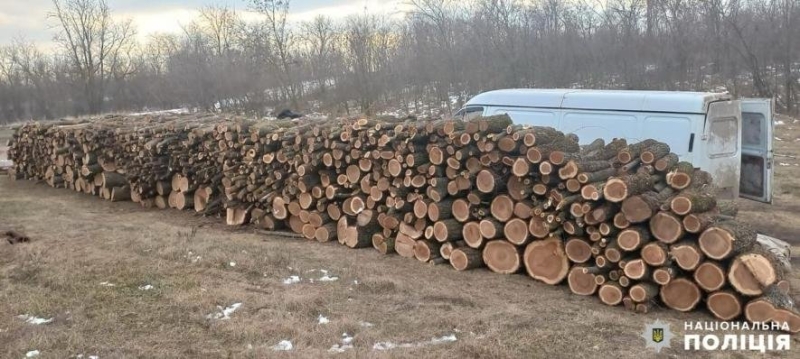 Незаконно вирубували дерева: на Миколаївщині затримали групу людей, - ФОТО