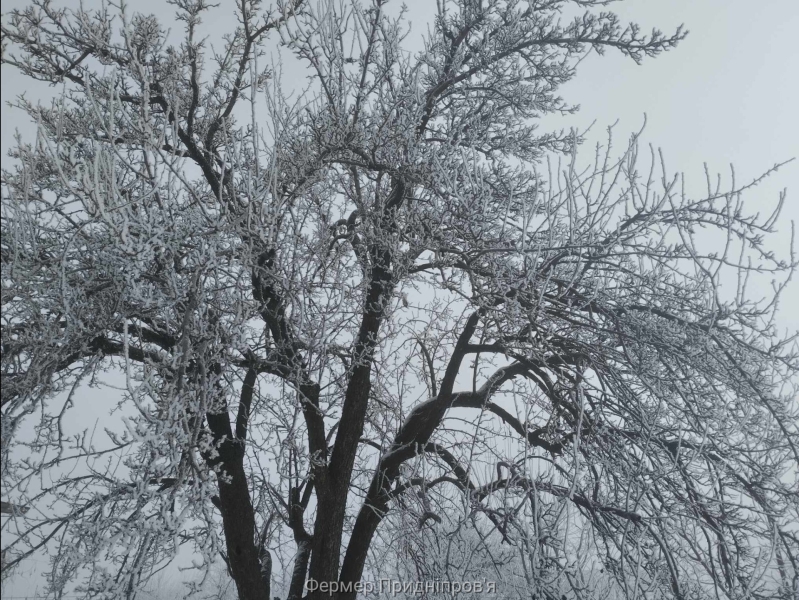 Погода на 20 лютого