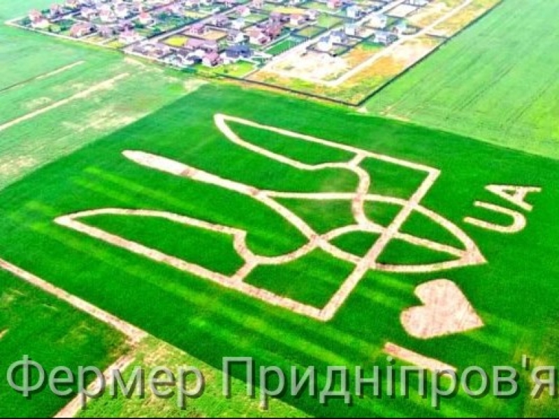 Сьогодні - День Державного герба України