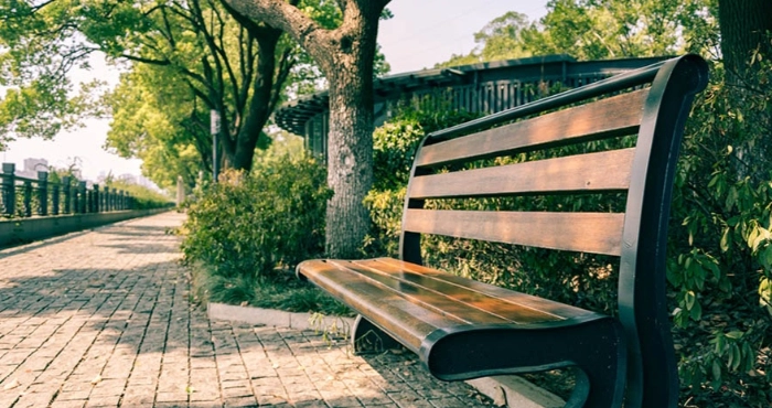 У Луцьку громаді оновили Правила благоустрою