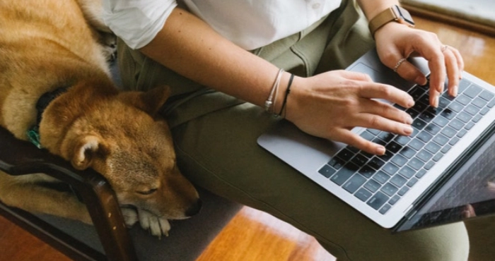 У Луцьку можна отримати 100 тисяч гривень на соціальний проєкт