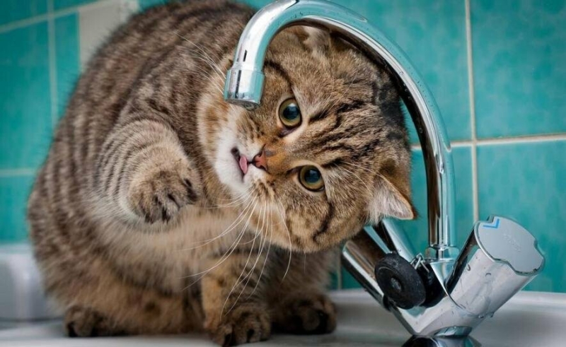 У Миколаєві через ремонт мережі низка вулиць до вечора будуть без води