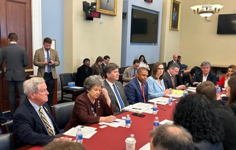 Українська парламентська делегація у США: Лариса Білозір про зустріч з конгресменами, стратегічне партнерство та підтримку України