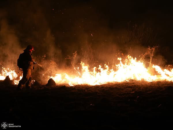 103 пожежі на 174 га за добу - рятувальники Закарпаття б'ють на сполох