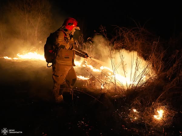 103 пожежі на 174 га за добу - рятувальники Закарпаття б'ють на сполох