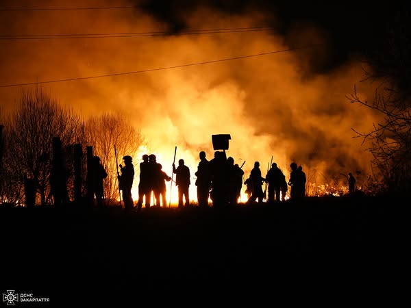 103 пожежі на 174 га за добу - рятувальники Закарпаття б'ють на сполох