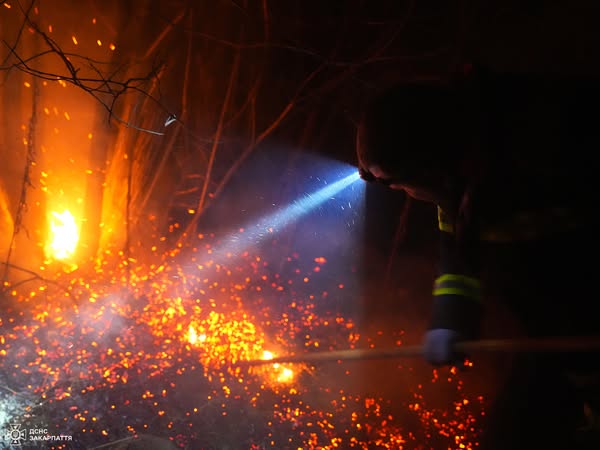 103 пожежі на 174 га за добу - рятувальники Закарпаття б'ють на сполох