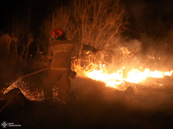 103 пожежі на 174 га за добу - рятувальники Закарпаття б'ють на сполох