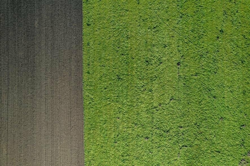 Землевпорядні роботи: що це таке і коли вони потрібні?