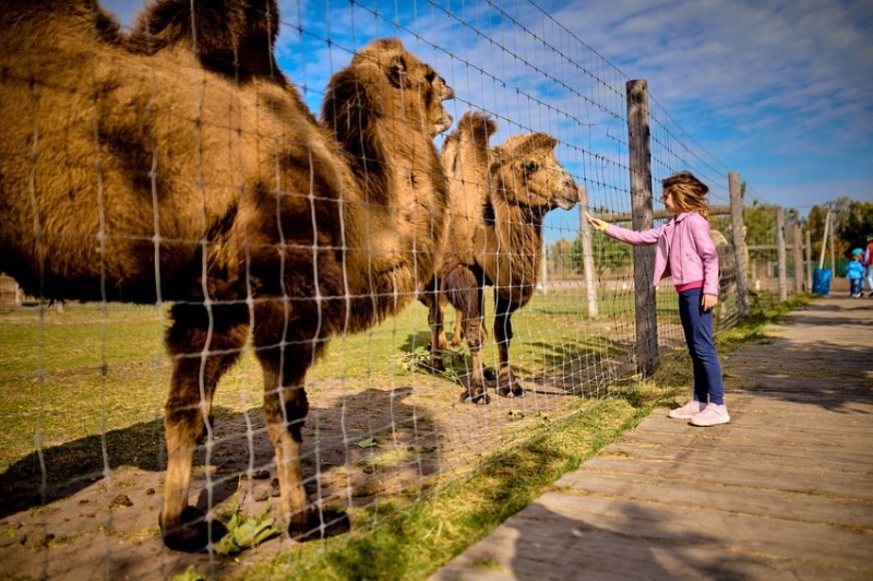 Що подивитися під Києвом. 10 місць для одноденної екскурсії