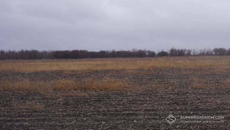 Україна втратила понад 20% сільгоспземель після початку повномасштабної війни &mdash; Віталій Коваль