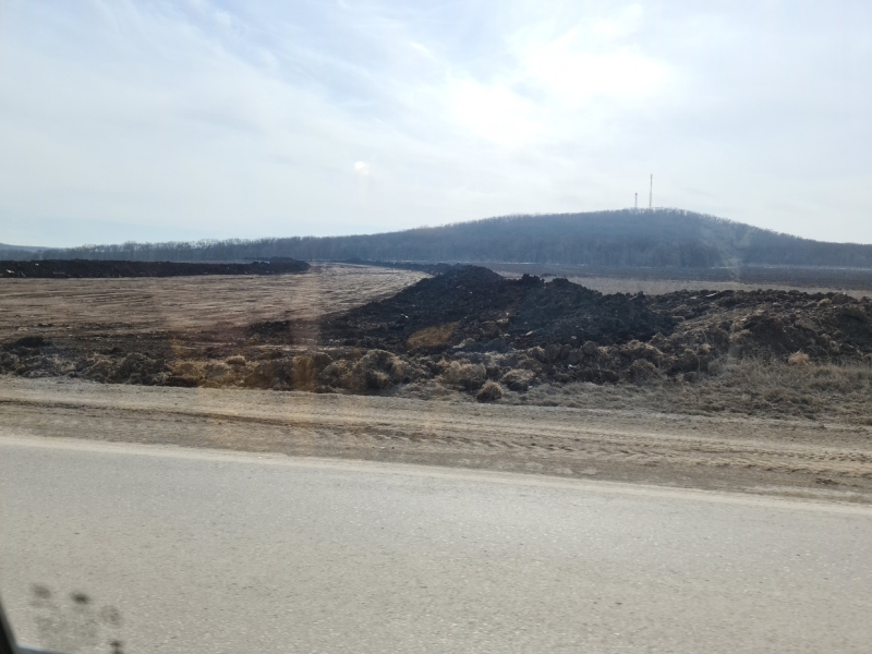 Нова траса на Судак знищить кілька гектарів Кримського лісу – краєзнавець (фото)