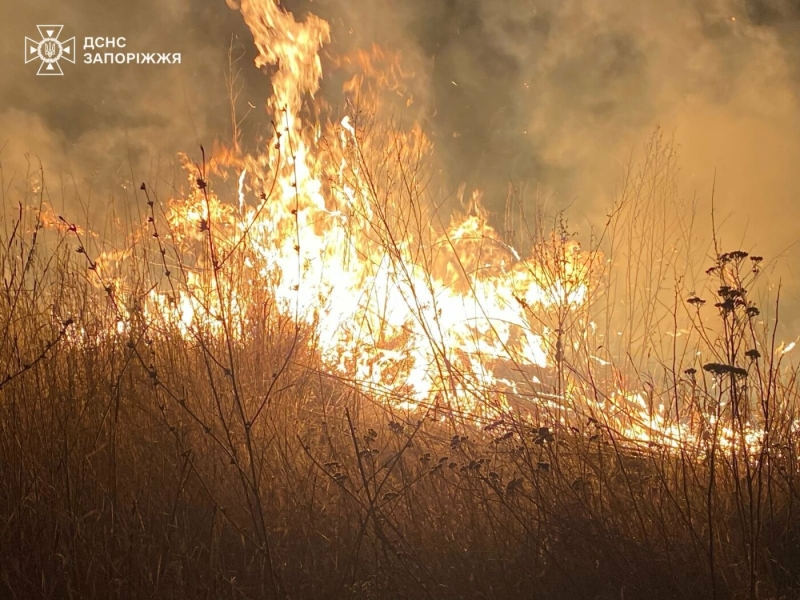 Ворожі обстріли спричинили вісім пожеж у Запорізькій області