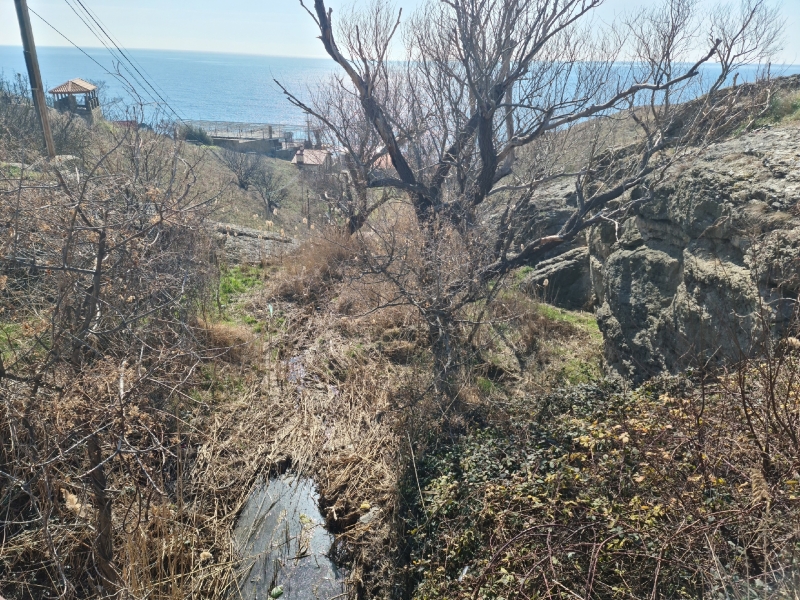 &laquo;У Криму з водою цього року будуть великі проблеми&raquo; &ndash; кримський краєзнавець