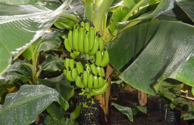 Що подивитися під Києвом. 10 місць для одноденної екскурсії