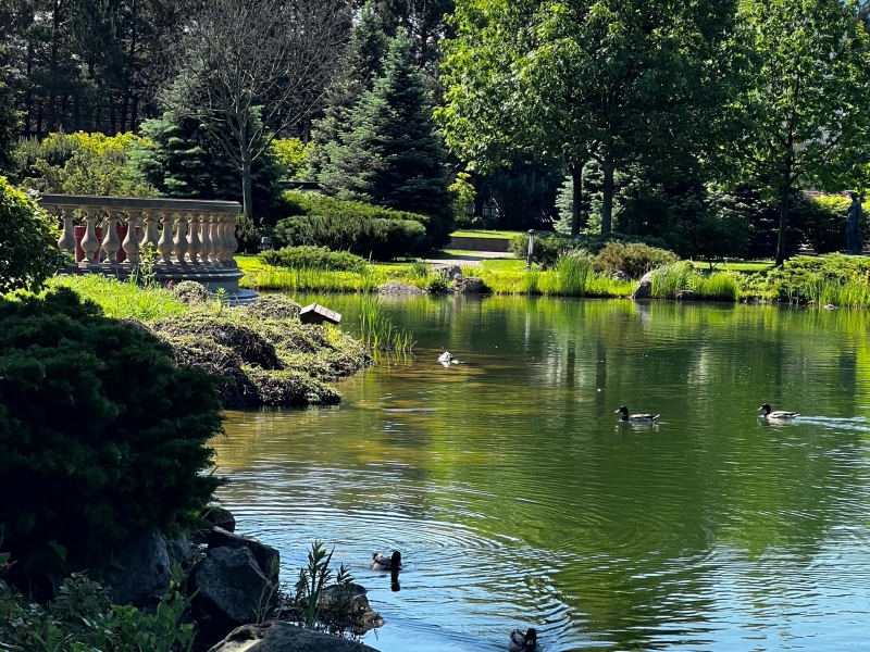 Що подивитися під Києвом. 10 місць для одноденної екскурсії