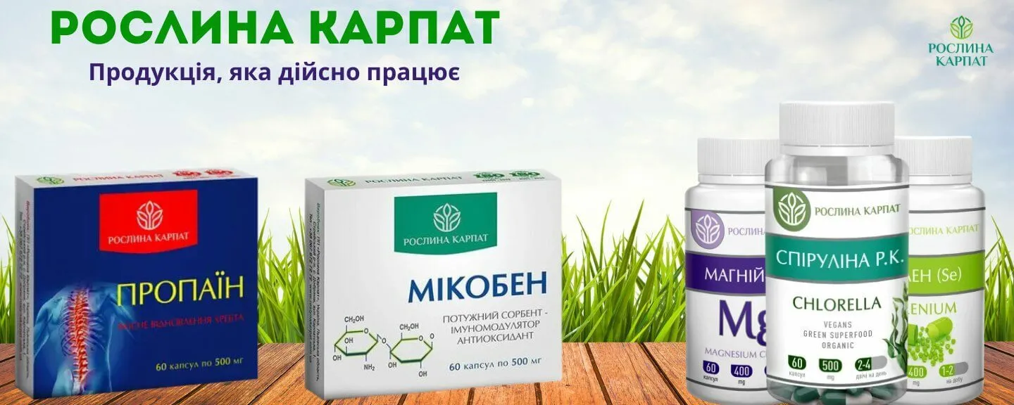 фітопрепарати рослина карпат