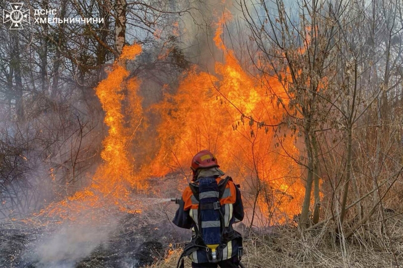 Сезон пожеж у Хмельницькій області: за добу зафіксовано 41 займання, з них 35 - в екосистемах