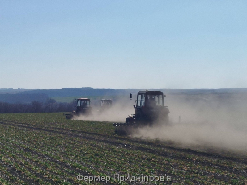 Аграрний комітет просить уряд забезпечити фермерам спокійну посівну