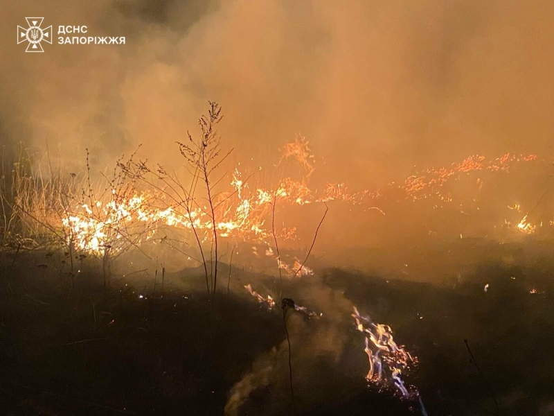 Ворожі обстріли спричинили вісім пожеж у Запорізькій області