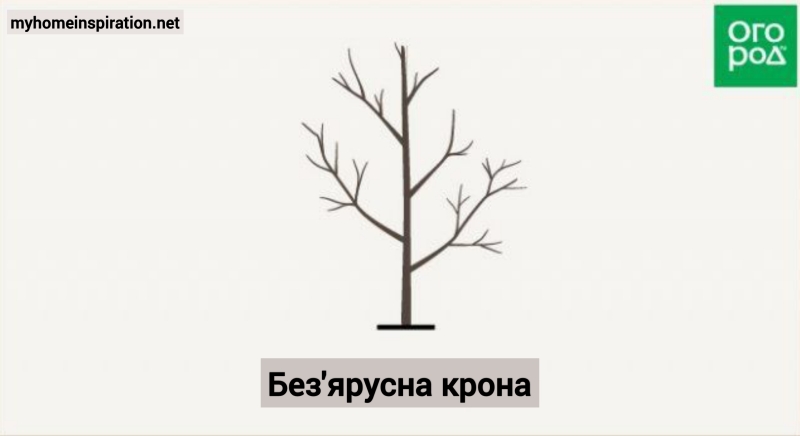 Березень у саду: Як обрізати плодові дерева