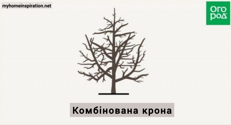 Березень у саду: Як обрізати плодові дерева