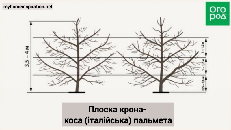 Березень у саду: Як обрізати плодові дерева