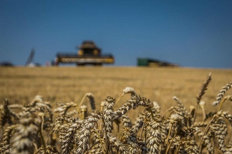 Через обстріли в Запорізькій області зменшилась кількість посівних площ: що відомо про посівну 2025 року