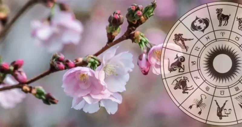 Випробування чекатимуть на кожному кроці: гороскоп на сьогодні для всіх знаків Зодіаку