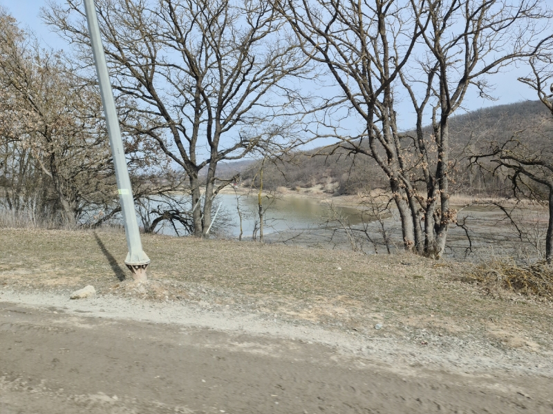 Нова траса на Судак знищить кілька гектарів Кримського лісу – краєзнавець (фото)