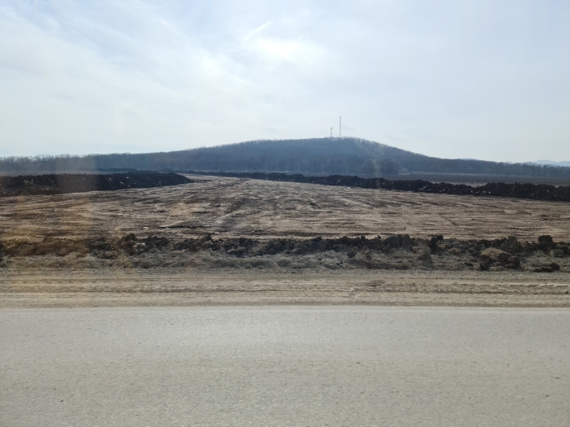 Нова траса на Судак знищить кілька гектарів Кримського лісу – краєзнавець (фото)