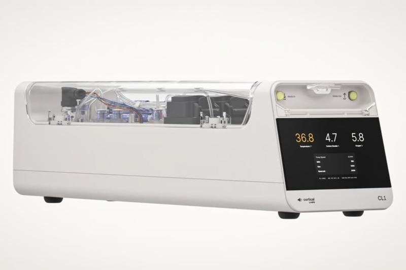 Cortical Labs запустила перший у світі комерційний біокомп’ютер з клітинами мозку людини