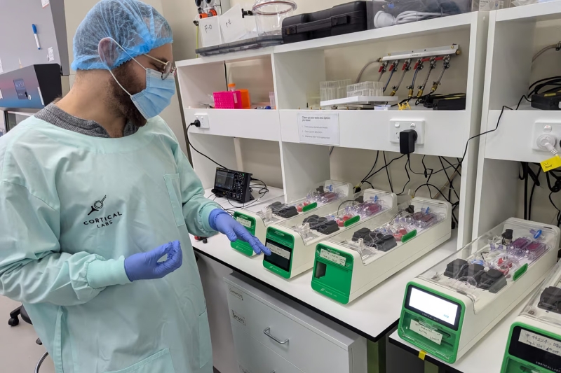 Cortical Labs запустила перший у світі комерційний біокомп’ютер з клітинами мозку людини
