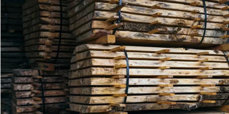 На Закарпатті створять індустріальний парк у сфері деревообробки