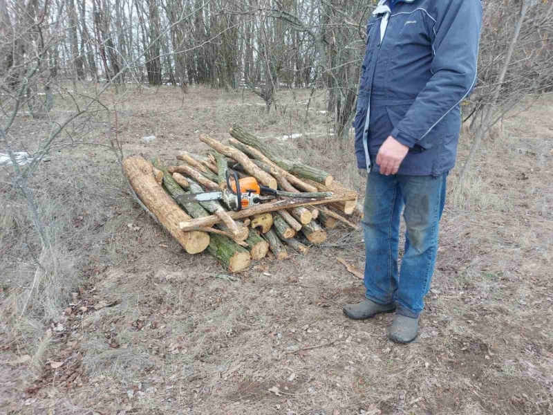 У Запорізькому районі виявили незаконну вирубку дерев