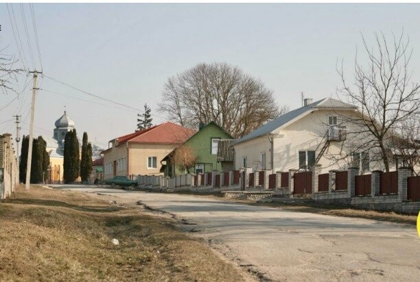 В українських селах бракує чоловіків: чи зможуть фермери посіяти і зібрати урожай