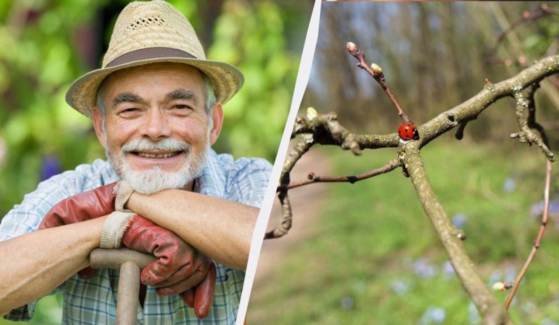 Лінуватися сьогодні - великий гріх: що ще не можна робити у свято 5 березня 2025