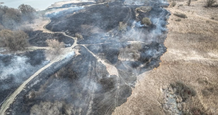 Луцькі рятувальники ліквідували масштабну пожежу на Гнідавському болоті, яка простягнулася на кілька гектарів