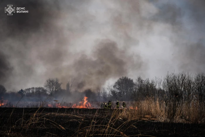 Луцькі рятувальники ліквідували масштабну пожежу на Гнідавському болоті, яка простягнулася на кілька гектарів