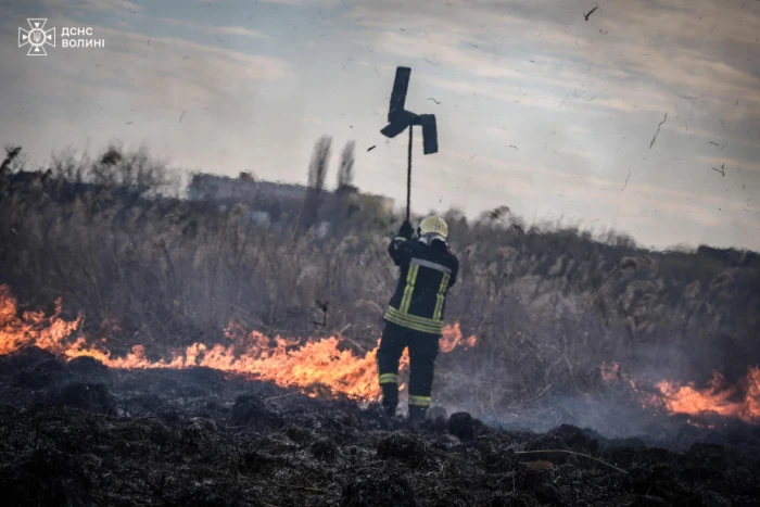 Луцькі рятувальники ліквідували масштабну пожежу на Гнідавському болоті, яка простягнулася на кілька гектарів