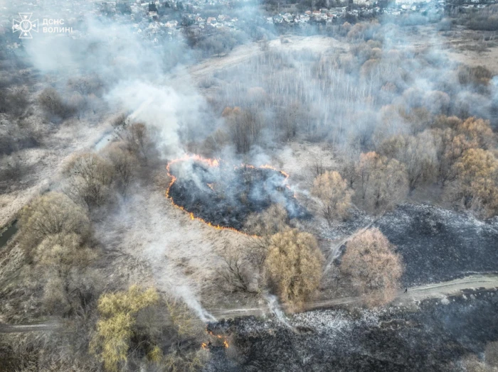 Луцькі рятувальники ліквідували масштабну пожежу на Гнідавському болоті, яка простягнулася на кілька гектарів