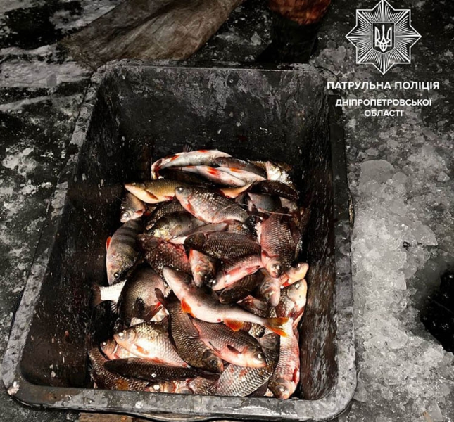 На Дніпропетровщині браконьєри нанесли збиток довкіллю на величезну суму