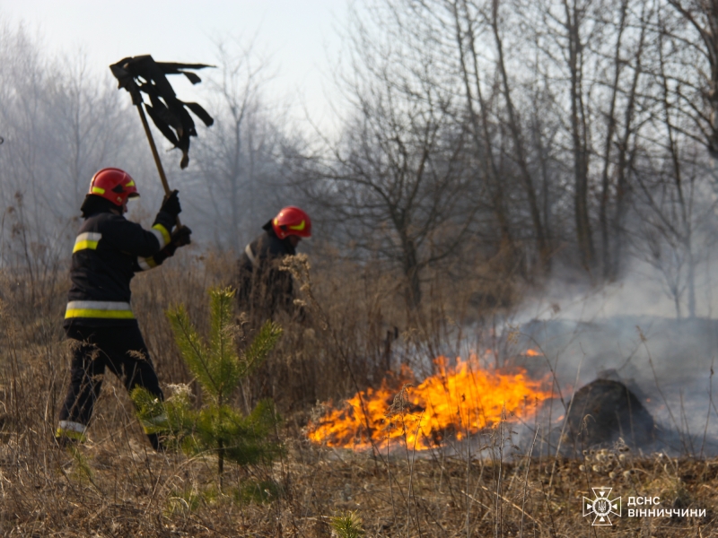 На Вінниччині на межі двох громад вигоріло 6 гектарів рослинності