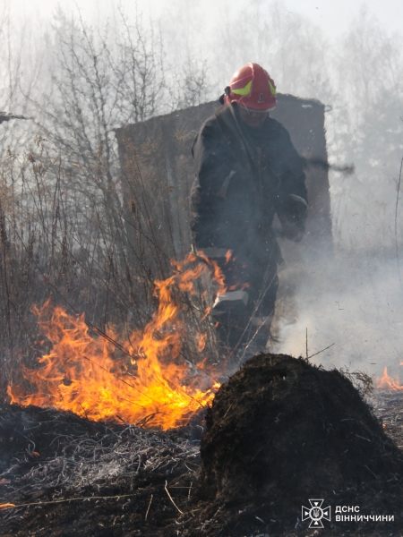 На Вінниччині на межі двох громад вигоріло 6 гектарів рослинності