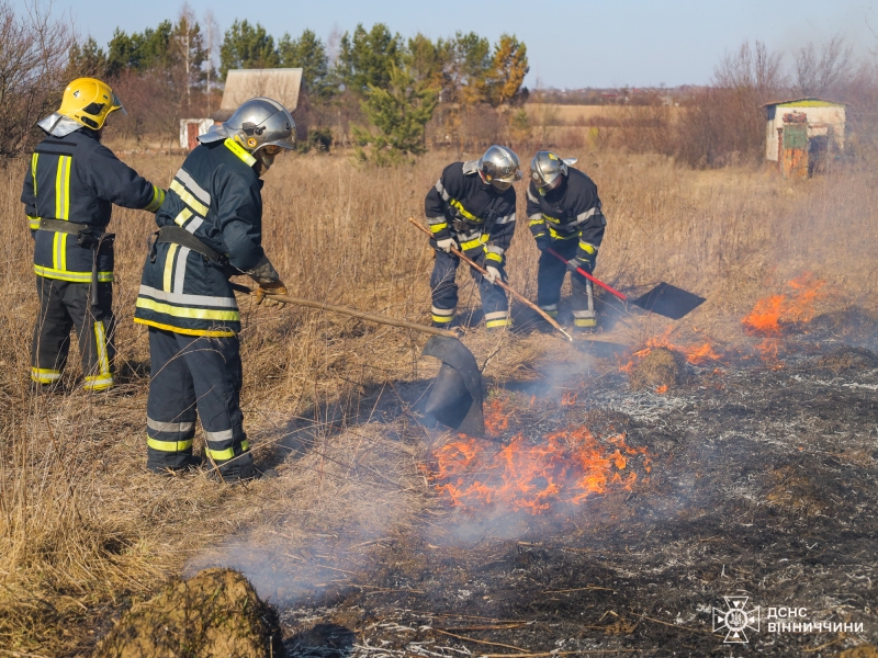 На Вінниччині на межі двох громад вигоріло 6 гектарів рослинності