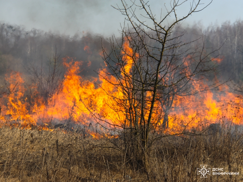 На Вінниччині на межі двох громад вигоріло 6 гектарів рослинності
