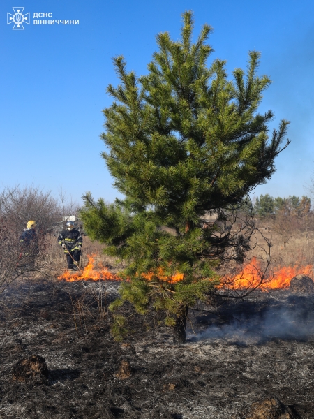 На Вінниччині на межі двох громад вигоріло 6 гектарів рослинності