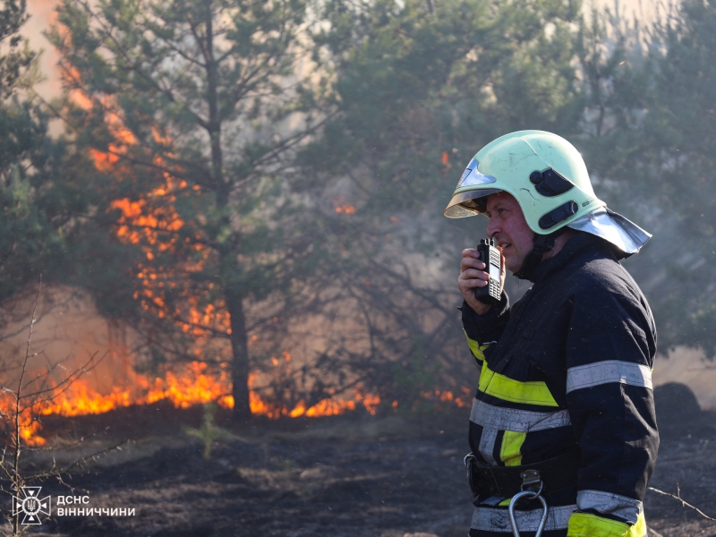 На Вінниччині на межі двох громад вигоріло 6 гектарів рослинності