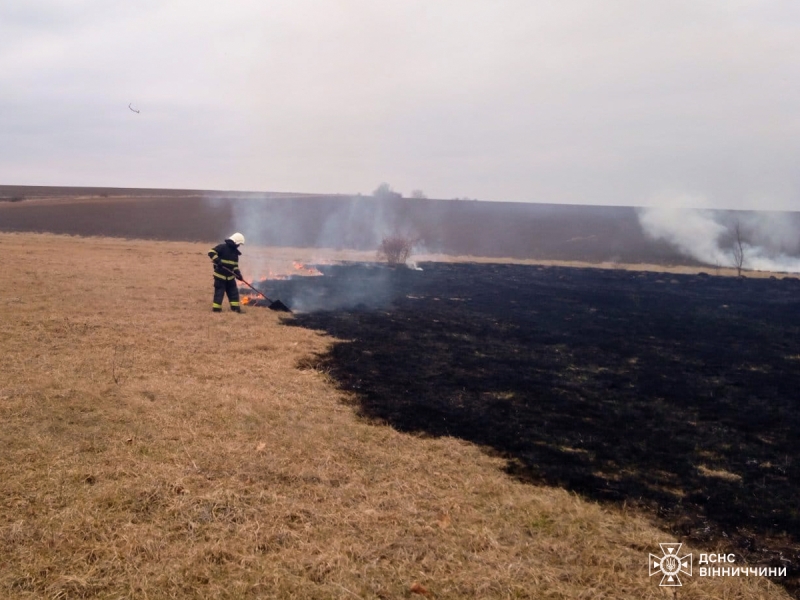 На Вінниччині сталося 26 пожеж в екосистемах