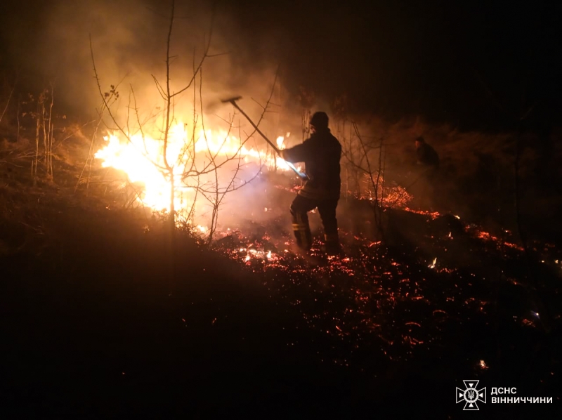 На Вінниччині сталося 26 пожеж в екосистемах